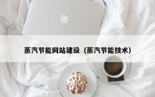内蒙古蒸汽节能网站建设（蒸汽节能技术）